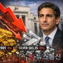 트럼프 연준 지명에 금·은 가격 급락…"은은 2026년의 GameStop" 이미지