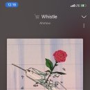 whistle 멜로디에 가사 있는 노래 들어본것같은데 이미지