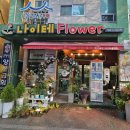 2월8일독립기념 사업회 | [대전꽃집 나이테플라워] 단재 신채호 선생 탄신 145주년 기념식 꽃납품 후기