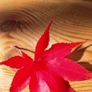 미리내펜션 이미지