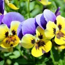 곡성 신기 구간 이미지