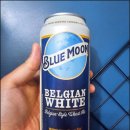 블루문(Blue Moon) | 20251128_1일1술: 맥주, 블루문[BLUE MOON]