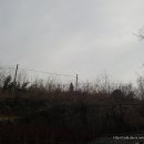 용암3리 할머니 이미지