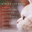 나만 없어 고양이 이미지