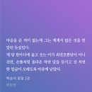 라현의원 | [감상] 백송의 꽃말 by 리도반