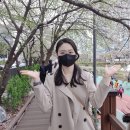 부귀리 마을회관 | 벚꽃 보러 봄나들이 갈 시간이 돌아왔어요~ 내가 아는 최고의 벚꽃 명소를 공유해 주세요!