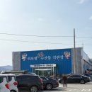 아송 | 강화도 외포항 근처 맛집 아송 물회전문점 알탕 후기