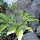 시골나들이 이미지