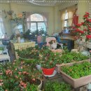 뜰안에 정원 이미지