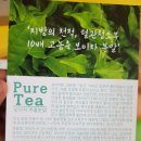 몽테베르거 | (보이차추천)몽테베르거_보이차 추출분말