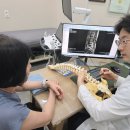 세븐일레븐 대전가양보건점 | 대전동구오십견한의원, 단순 어깨통증과 구분하는 방법은 무엇일까요?