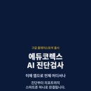 플레이에듀