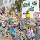 호남유치원 이미지