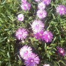 한화사택 이미지