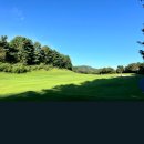 대광카서비스 | 골프의전의 품격을 높이다_메리트리무진 벤츠스프린터 VIP_골프의전