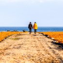 산하목장 이미지