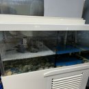 능이누룽지마을 이미지