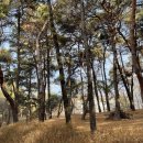 유앤샘외과의원 이미지