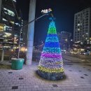 서리풀 헤럴드경제