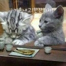 애주가네