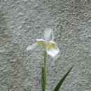 성북초등학교 이미지