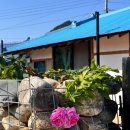 스테이울진 이미지