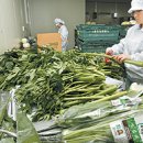 천지원 농장 이미지