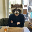 서대문 명지대2길 | 98. 화담숲 (2026.4.8)