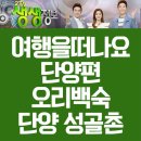 성골촌