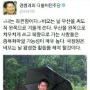 개이버
