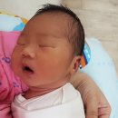 참조은산후조리원 이미지