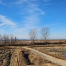 엠글램핑 이미지