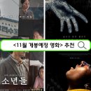 (주)페이즈캣 | 2023년 11월 개봉 예정 영화 추천 12편 총정리