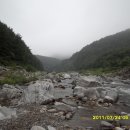 용소농장 이미지