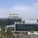 유한양행 이미지