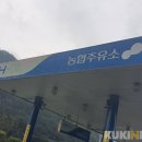 태백농협주유소 이미지