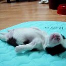 같이 이미지