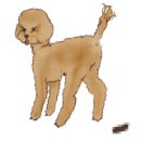 데려가시개 이미지