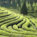 남해의 여유 이미지