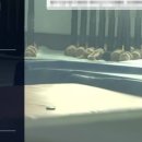 효인태권도장 이미지