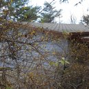 삼수령탑 이미지