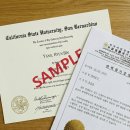 이리번역행정사사무소 이미지