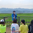 군산-서천광역시티투어 이미지