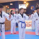 라이프 태권도장 이미지