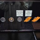 타미 | 동탄 중동 식물원같은 통창 대형카페 [바스타미] 내돈내산 후기