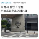 더스트라우스 | 동탄 린스트라우스 더레이크 미세방충망 교체 후기, 호수공원 아파트 벌레 차단