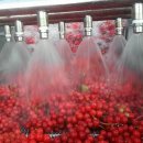 거창농장 이미지