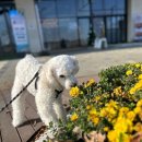 은계유치원 이미지