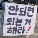 봉평체육관 | 봄일기 5월편, 두번째 조각