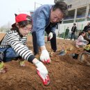 부자농장1 이미지